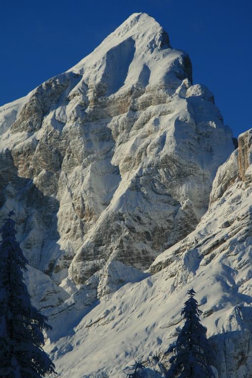 Rifugio Passo Staulanza Hotel Zoldo Alto Екстериор снимка